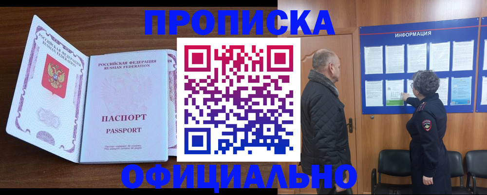 прописка поиск в Купино
